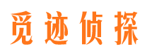 杨凌外遇出轨调查取证